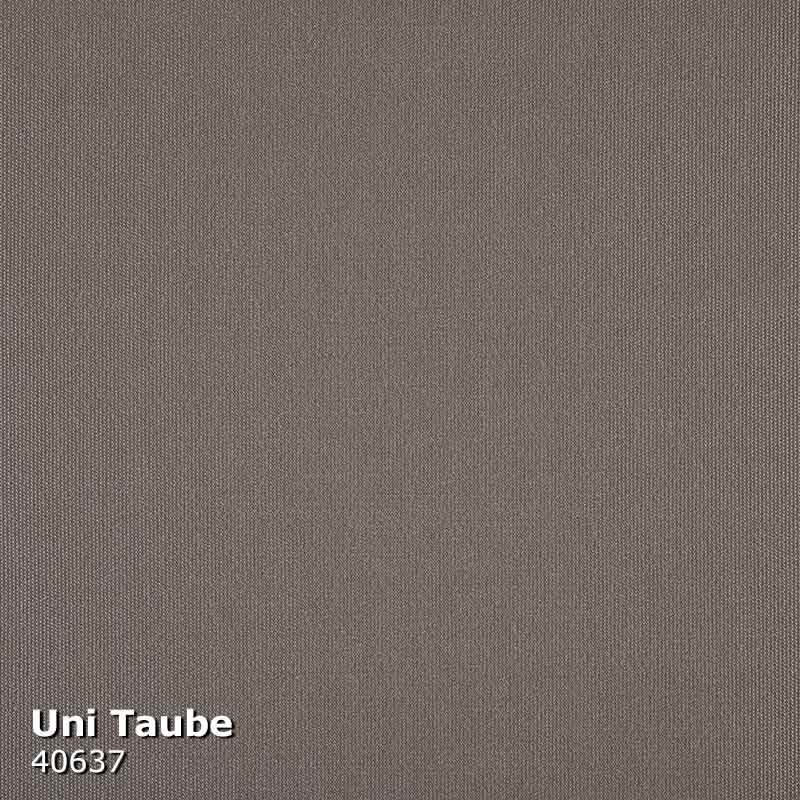 Kissen Uni Taube 40637